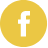icone facebook